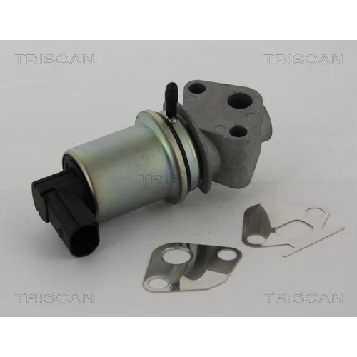 EGR ventil TRISCAN 8813 29044