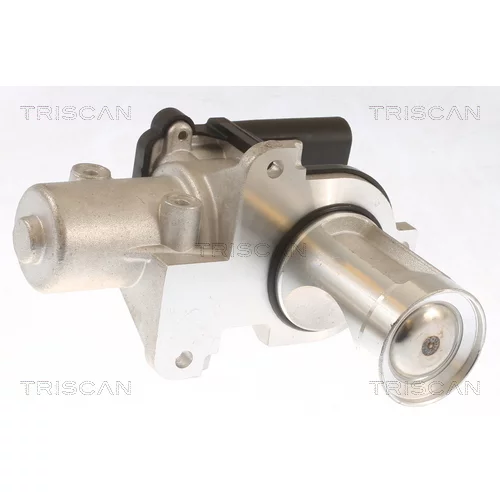 EGR ventil TRISCAN 8813 29101