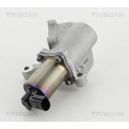 EGR ventil TRISCAN 8813 44009