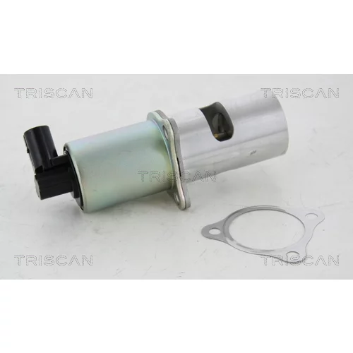 EGR ventil TRISCAN 8813 10100 - obr. 2