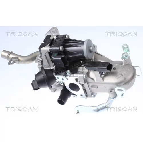 EGR ventil TRISCAN 8813 10106 - obr. 3