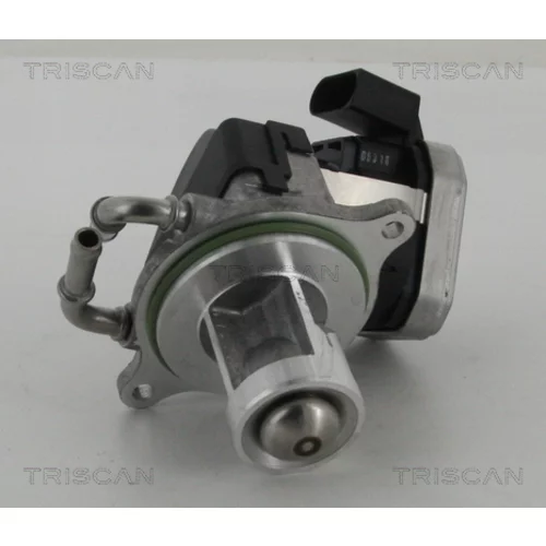 EGR ventil TRISCAN 8813 23002