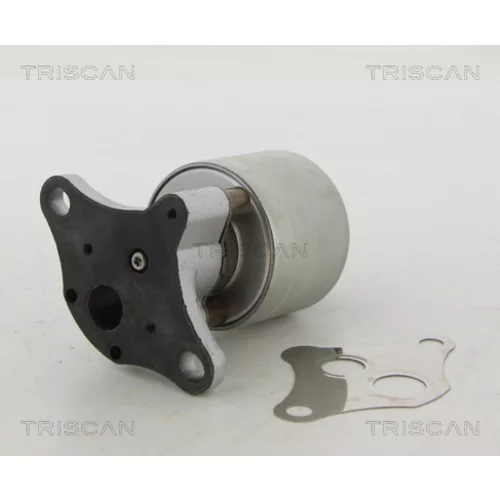 EGR ventil TRISCAN 8813 24004 - obr. 2