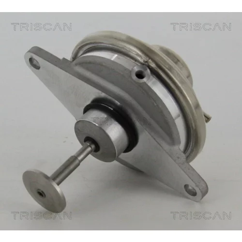 EGR ventil TRISCAN 8813 24054 - obr. 1