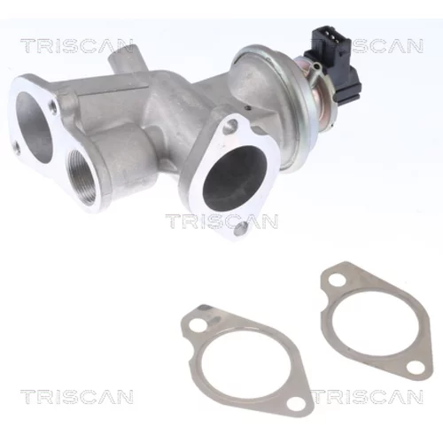 EGR ventil 8813 24203 /TRISCAN/