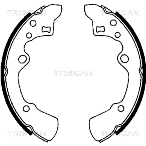 Sada brzdových čeľustí TRISCAN 8100 50496