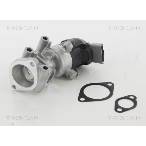 EGR ventil TRISCAN 8813 10009