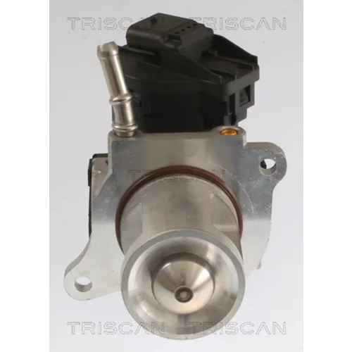 EGR ventil TRISCAN 8813 23040 - obr. 2