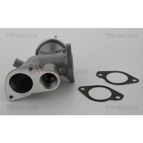 EGR ventil TRISCAN 8813 24031 - obr. 3