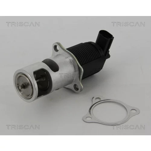 EGR ventil TRISCAN 8813 25005