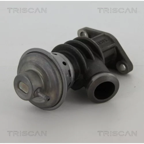 EGR ventil TRISCAN 8813 28100 - obr. 1