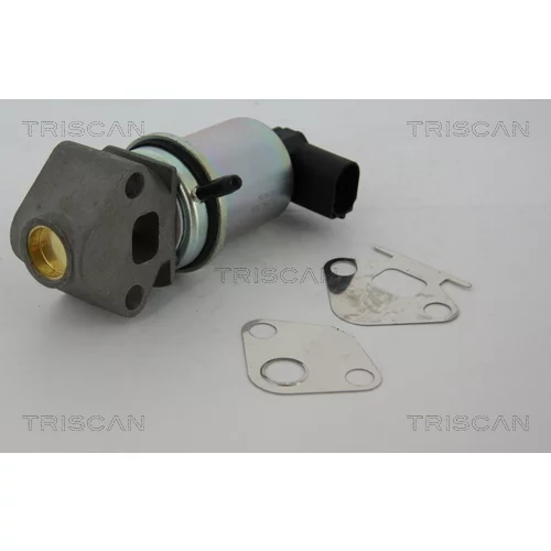 EGR ventil TRISCAN 8813 29011 - obr. 3