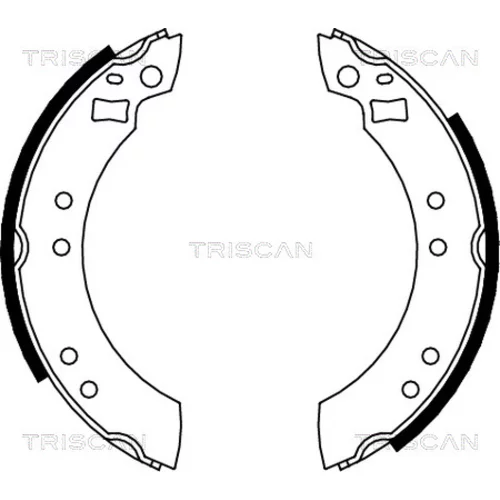 Sada brzdových čeľustí TRISCAN 8100 10280