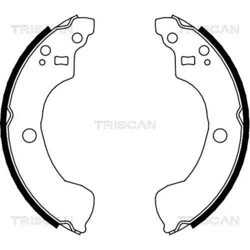 Sada brzdových čeľustí TRISCAN 8100 14004