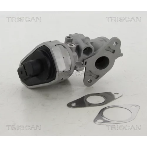 EGR ventil 8813 10002 /TRISCAN/ - obr. 2