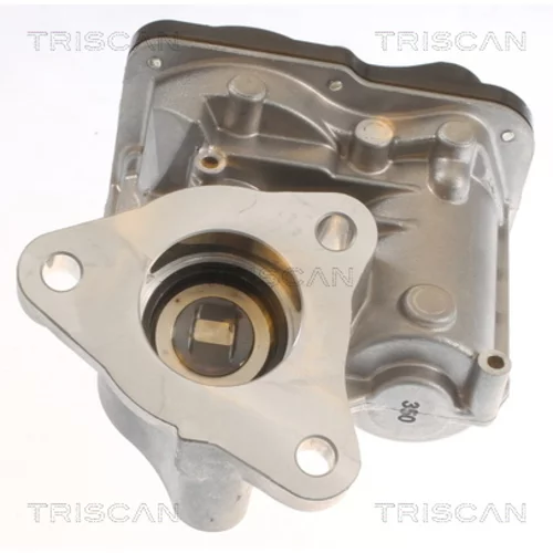 EGR ventil TRISCAN 8813 10055 - obr. 2