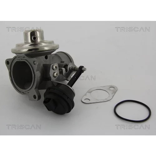 EGR ventil TRISCAN 8813 29001 - obr. 1