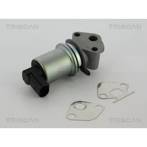 EGR ventil TRISCAN 8813 29004