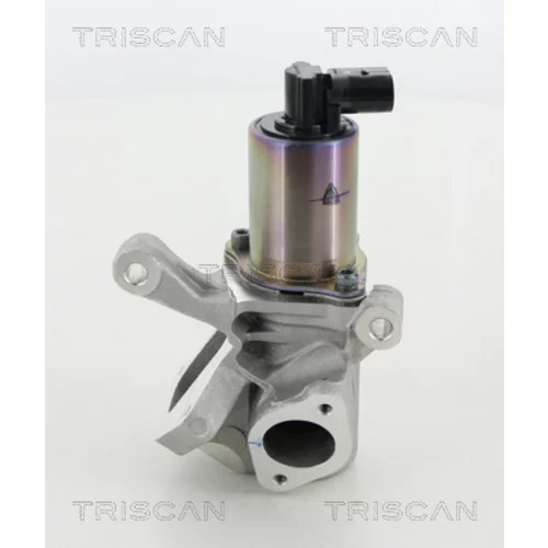 EGR ventil TRISCAN 8813 44009 - obr. 2