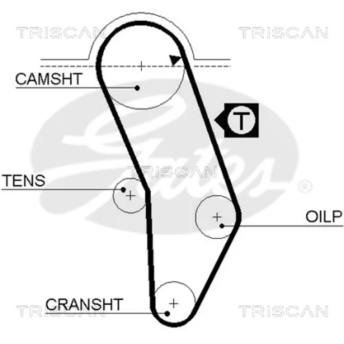 Ozubený remeň TRISCAN 8645 5016 - obr. 1