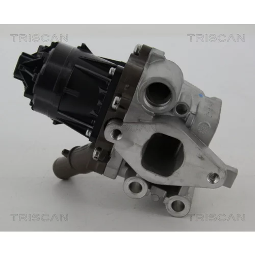 EGR ventil TRISCAN 8813 15207 - obr. 3