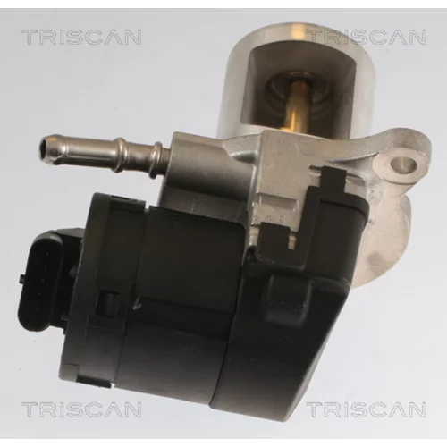 EGR ventil TRISCAN 8813 23040 - obr. 1