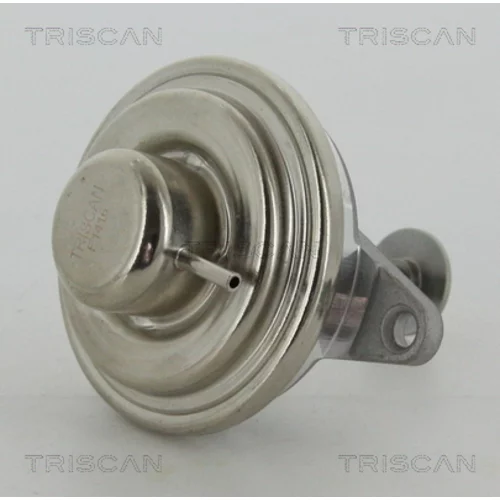 EGR ventil TRISCAN 8813 24054