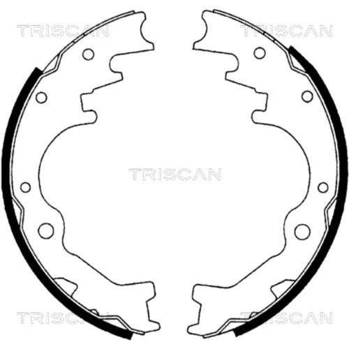 Sada brzdových čeľustí TRISCAN 8100 10035