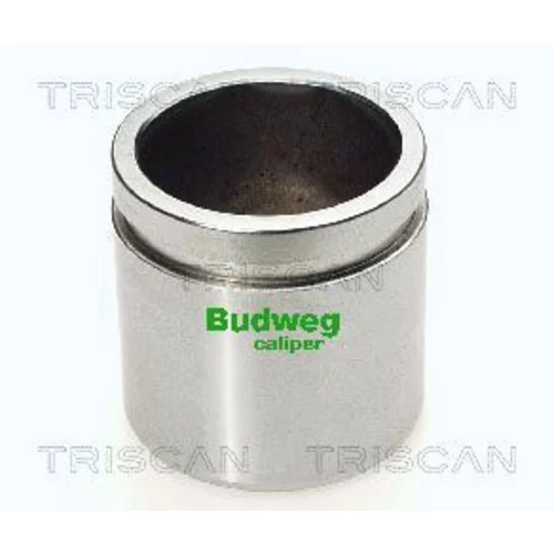 Piest brzdového strmeňa 8170 234860 /TRISCAN/