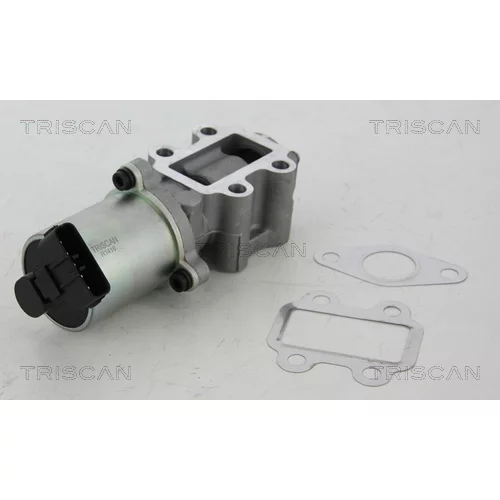 EGR ventil TRISCAN 8813 13102