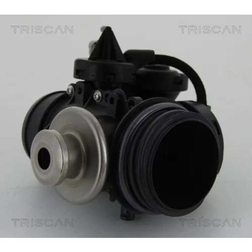 EGR ventil TRISCAN 8813 15056 - obr. 2