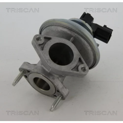 EGR ventil TRISCAN 8813 16045 - obr. 2