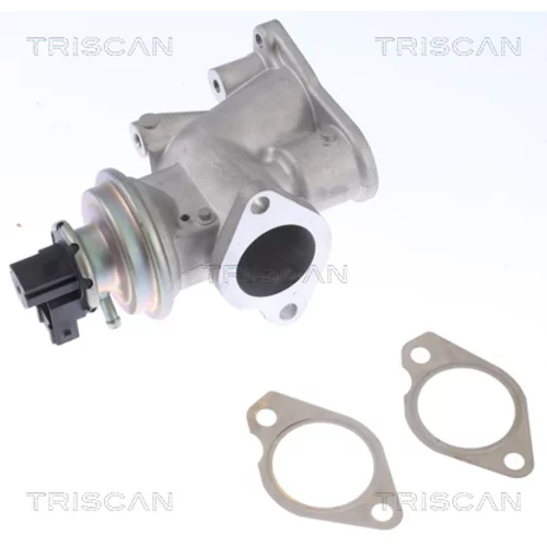 EGR ventil 8813 24203 /TRISCAN/ - obr. 2