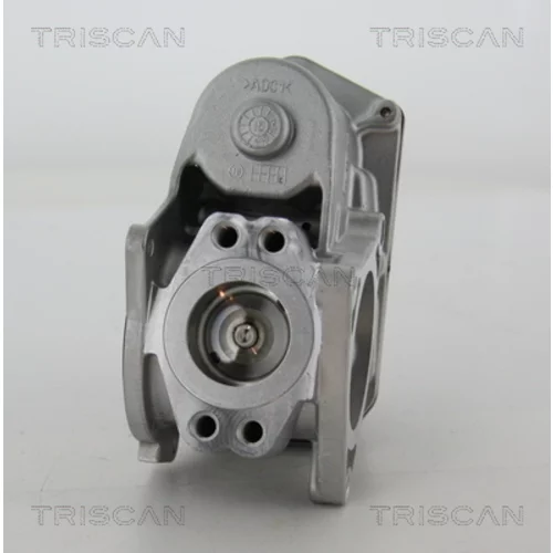 EGR ventil TRISCAN 8813 29003 - obr. 3