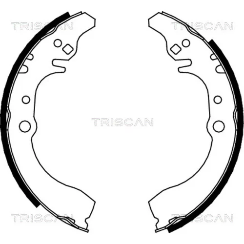 Sada brzdových čeľustí TRISCAN 8100 41617