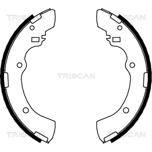 Sada brzdových čeľustí TRISCAN 8100 42505