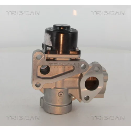 EGR ventil 8813 16203 /TRISCAN/ - obr. 3