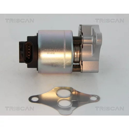 EGR ventil TRISCAN 8813 24100 - obr. 1