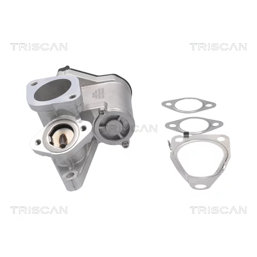 EGR ventil 8813 25201 /TRISCAN/ - obr. 3