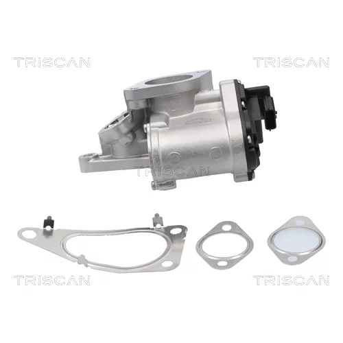 EGR ventil 8813 25201 /TRISCAN/ - obr. 4