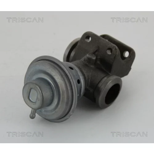 EGR ventil TRISCAN 8813 28013 - obr. 1