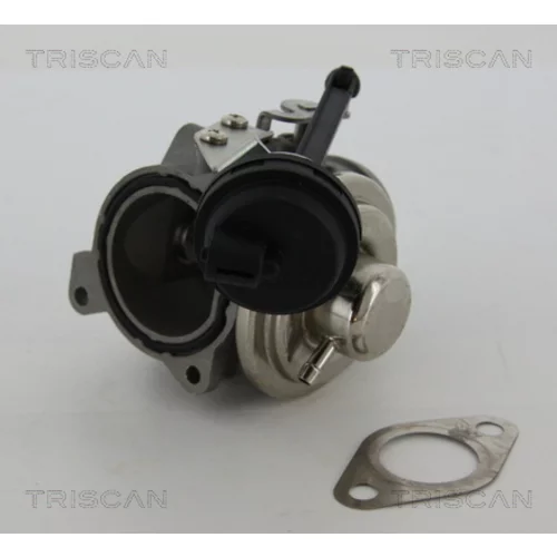 EGR ventil TRISCAN 8813 29022 - obr. 1