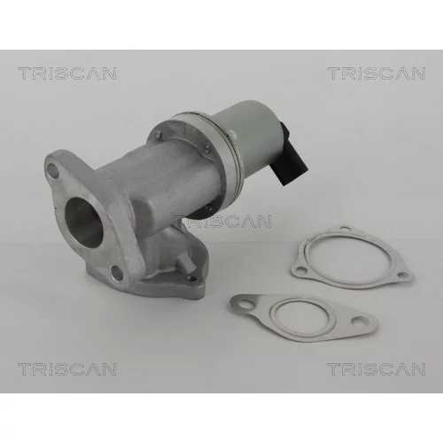 EGR ventil 8813 43002 /TRISCAN/