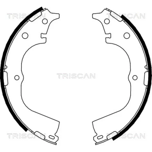 Sada brzdových čeľustí TRISCAN 8100 13557