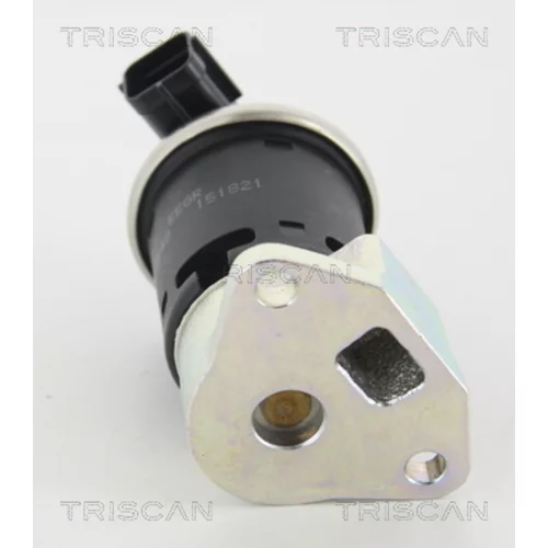 EGR ventil TRISCAN 8813 21004 - obr. 2