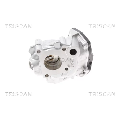 EGR ventil TRISCAN 8813 23015 - obr. 2