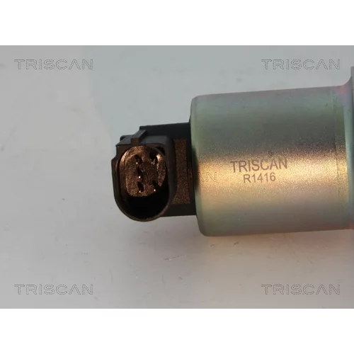 EGR ventil TRISCAN 8813 29004 - obr. 1