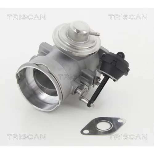 EGR ventil TRISCAN 8813 29056 - obr. 1