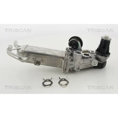 EGR ventil TRISCAN 8813 29325 - obr. 1