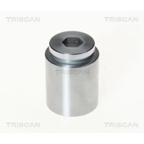 Piest brzdového strmeňa 8170 233604 /TRISCAN/